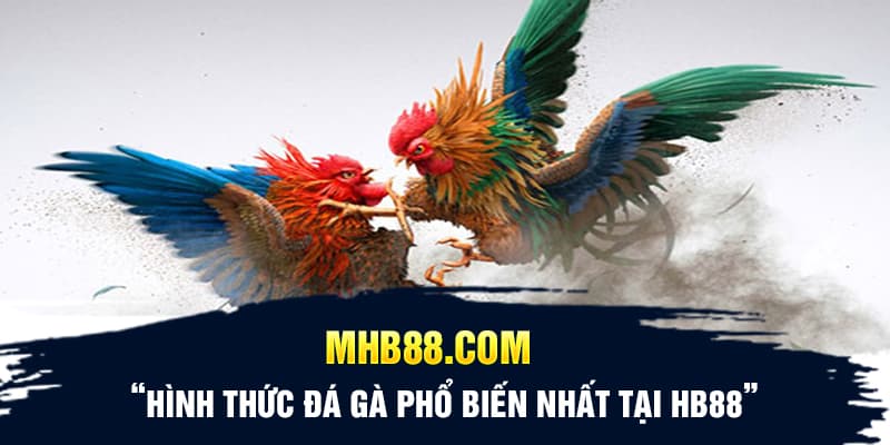 Hình thức đá gà phổ biến nhất tại HB88 